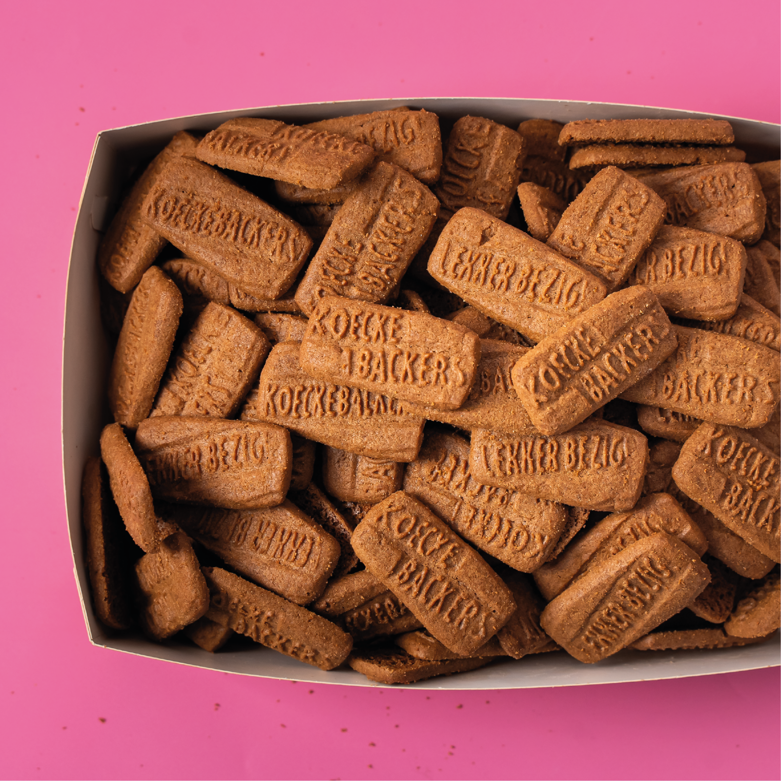 Koffiekoekjes Speculaas (430 stuks) – doos 2,8 kilo